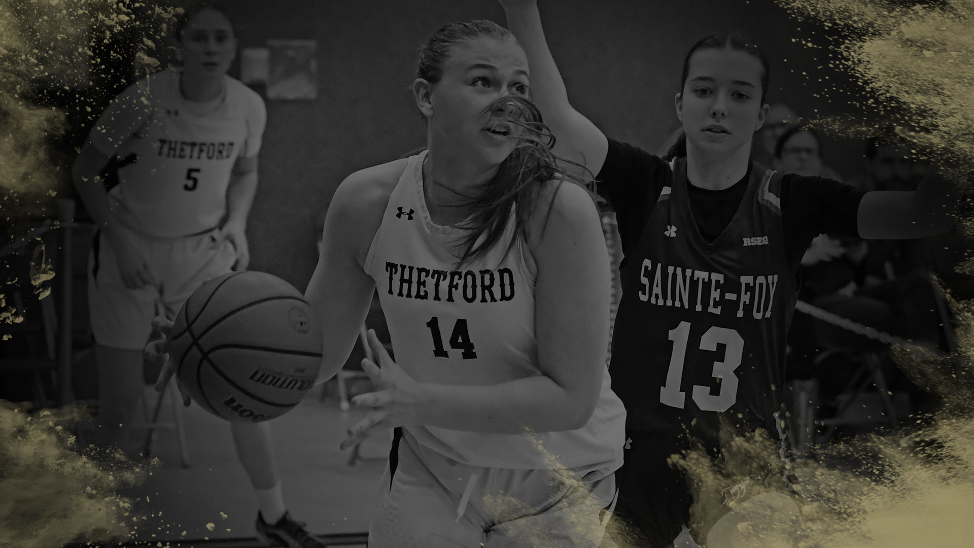 Photomontage sportif avec les couleurs du Cégep de Thetford