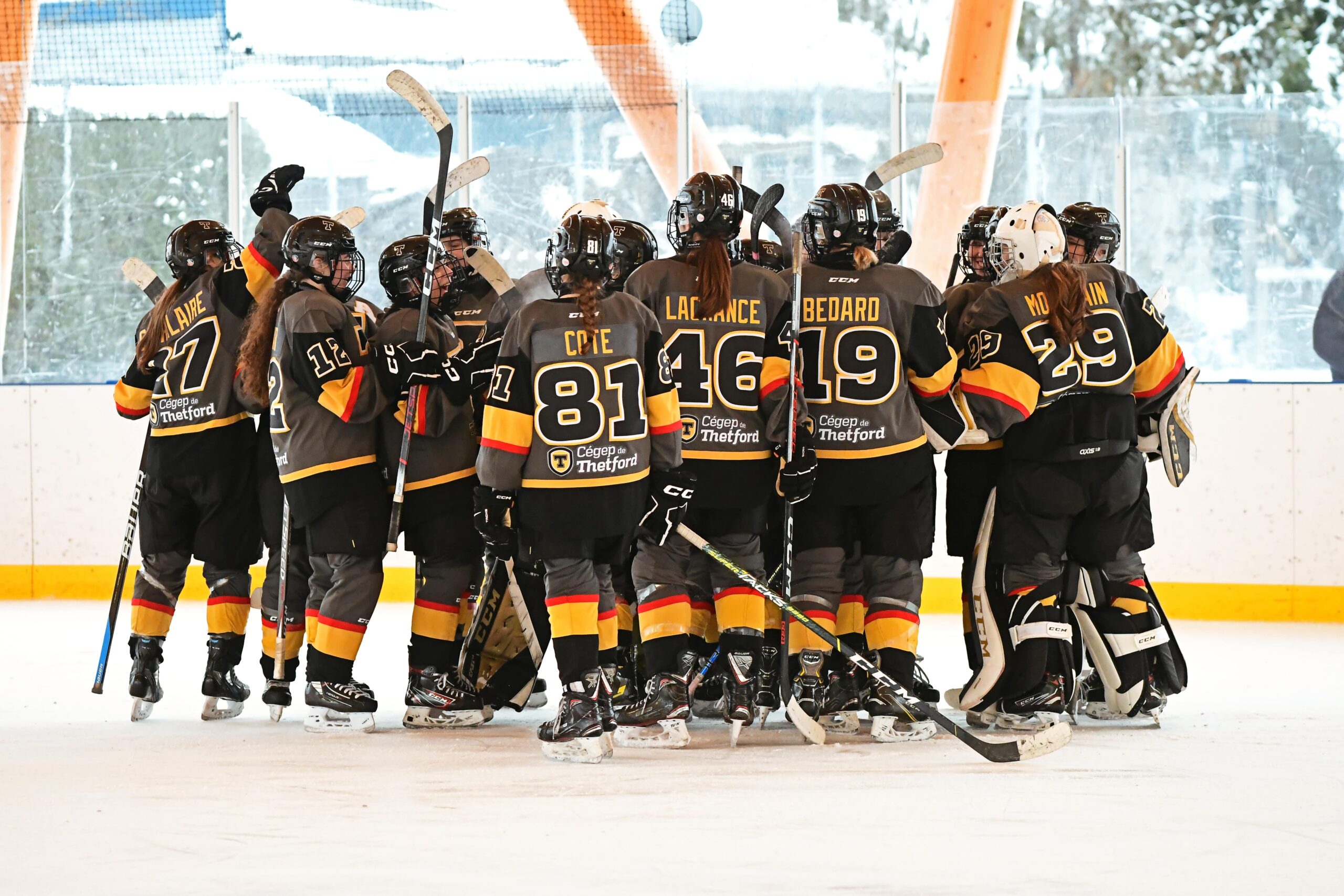 Cri de ralliement de l'équipe de hockey féminine du Cégep de Thetford sur une patinoire.