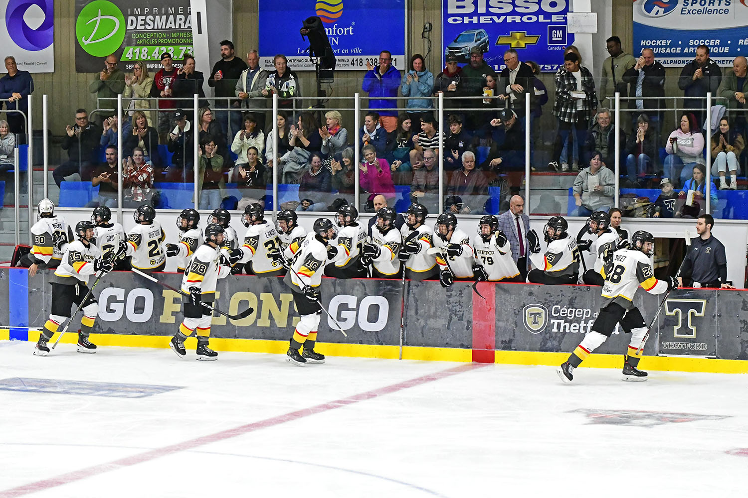 Photo en plan large du banc des joueurs de l'équipe de hockey du Cégep de Thetford dans le cadre d'une partie de hockey dans l'aréna.