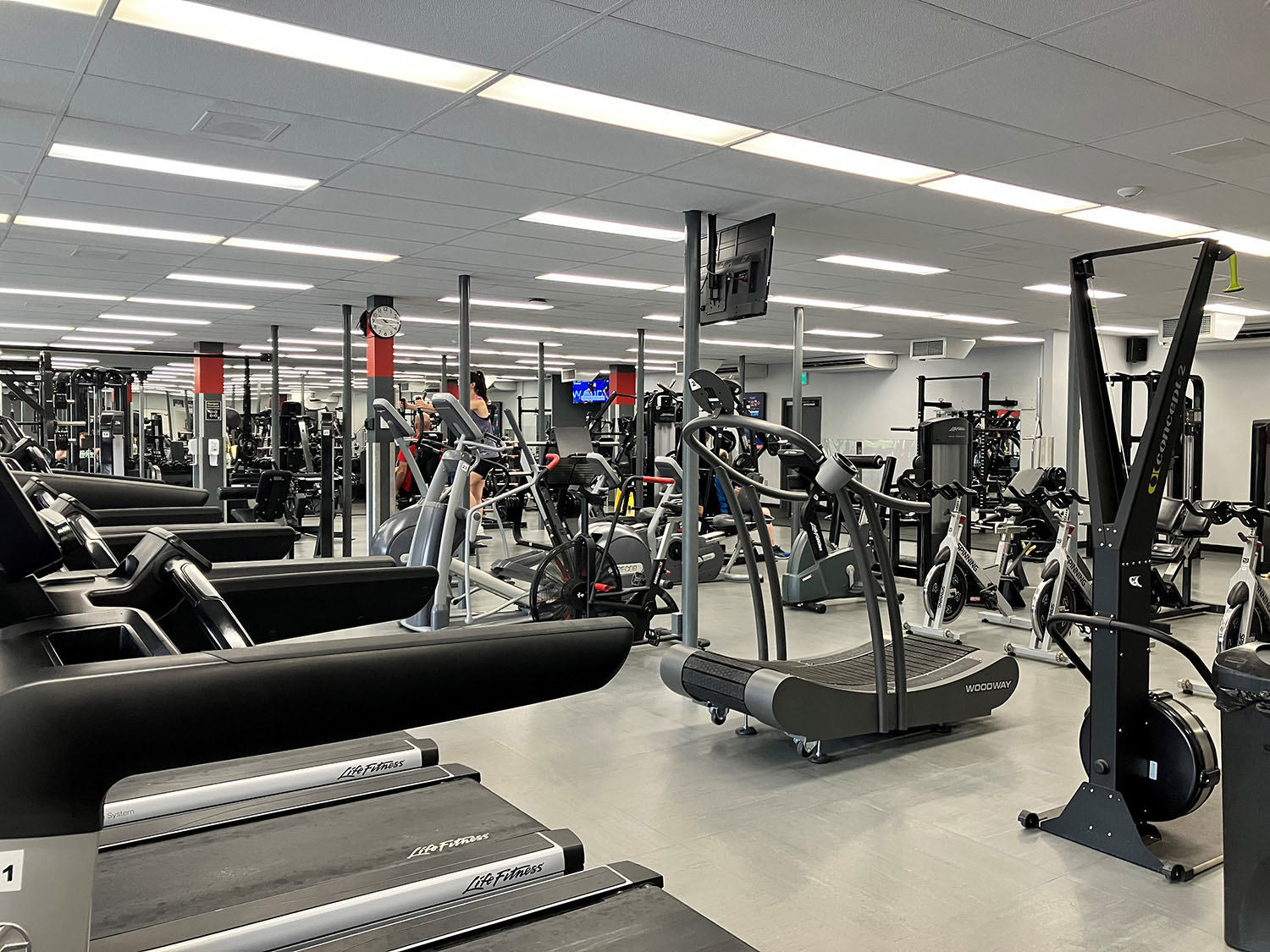 Installations modernes de sport et de musculation dans une salle d'entraînement.