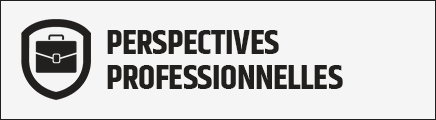 Bouton Perspectives professionnels